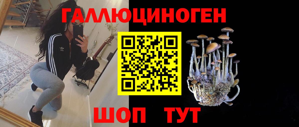 Людиново  Галлюциногенные грибы мухоморы  Вход с VPN 