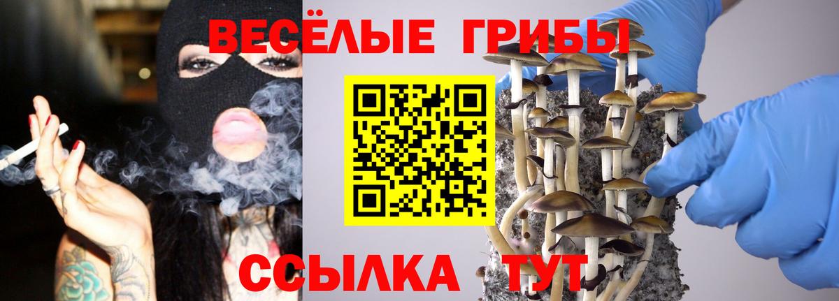 Псилоцибиновые грибы Cubensis Людиново