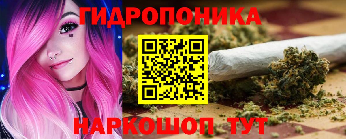 Людиново  Каннабис OG Kush  МАРИХУАНА ГИДРОПОН  Вход с VPN 